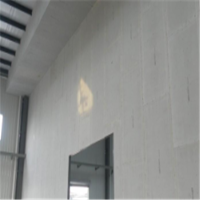 瑞丽宁波ALC板|EPS加气板隔墙与混凝土整浇联接的实验研讨